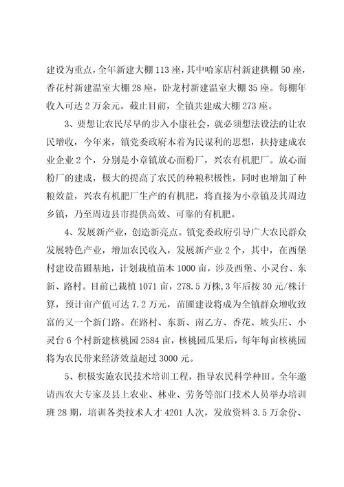 乡镇农业工作总结格式模板（3篇）