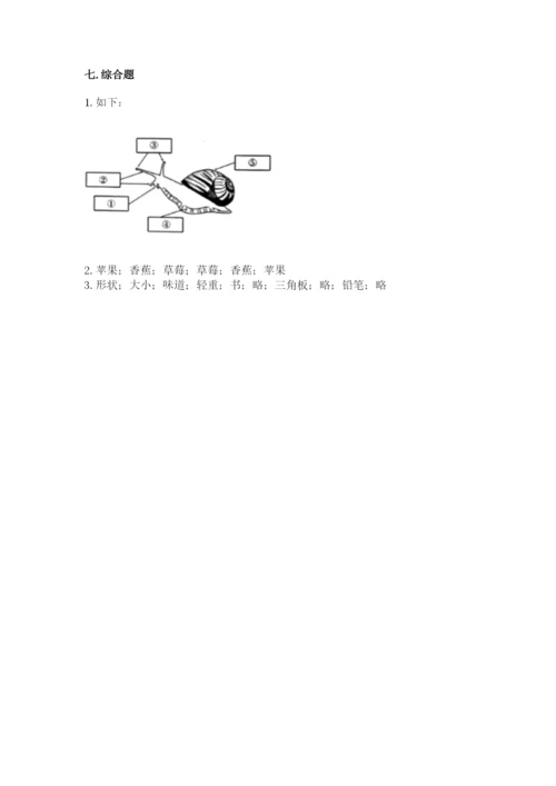 教科版一年级下册科学期末测试卷含答案【培优b卷】.docx
