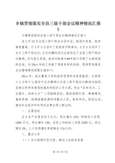 乡镇贯彻落实全县三级干部会议精神情况汇报3.docx