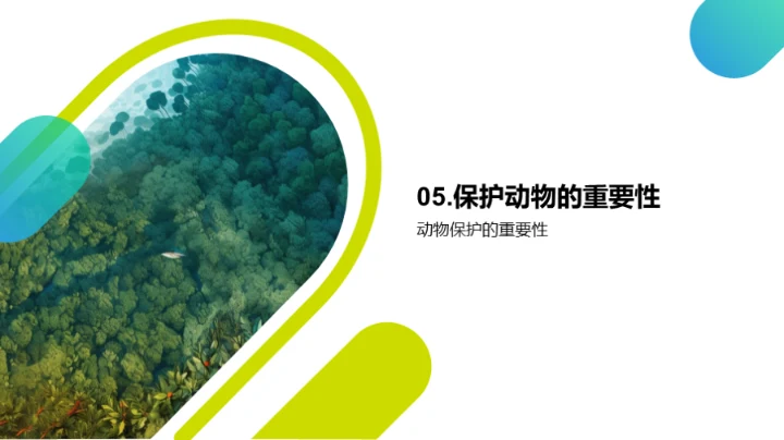 动物世界的奥秘