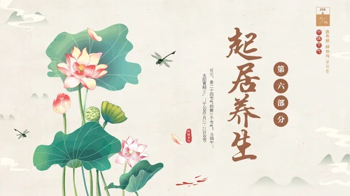 绿色淡雅中国风荷花荷叶中国二十四节气之夏至节气介绍PPT