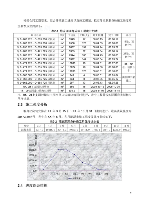 导流洞洞身砼衬砌施工技术措施.docx