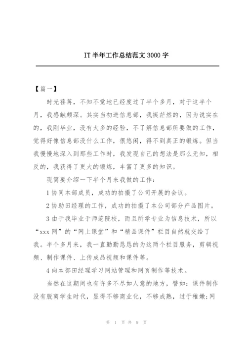 IT半年工作总结范文3000字.docx