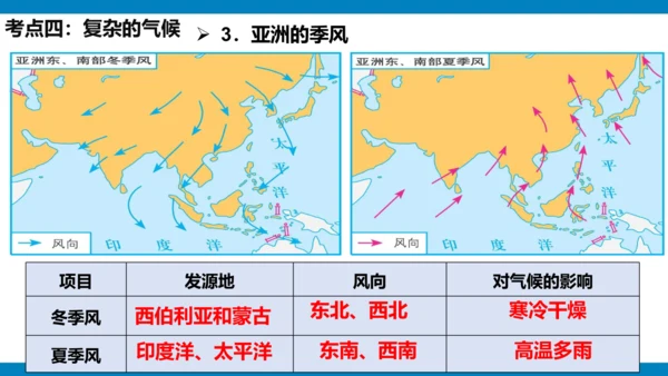 第六章 我们生活的大洲（课件38张）-2023-2024学年七年级地理下册期中复习（人教版）