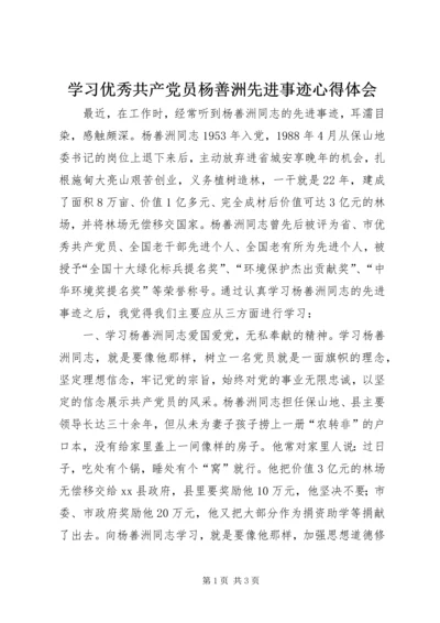 学习优秀共产党员杨善洲先进事迹心得体会.docx