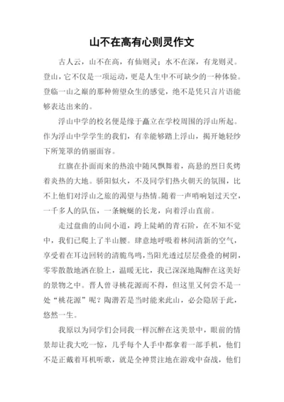 山不在高有心则灵作文.docx