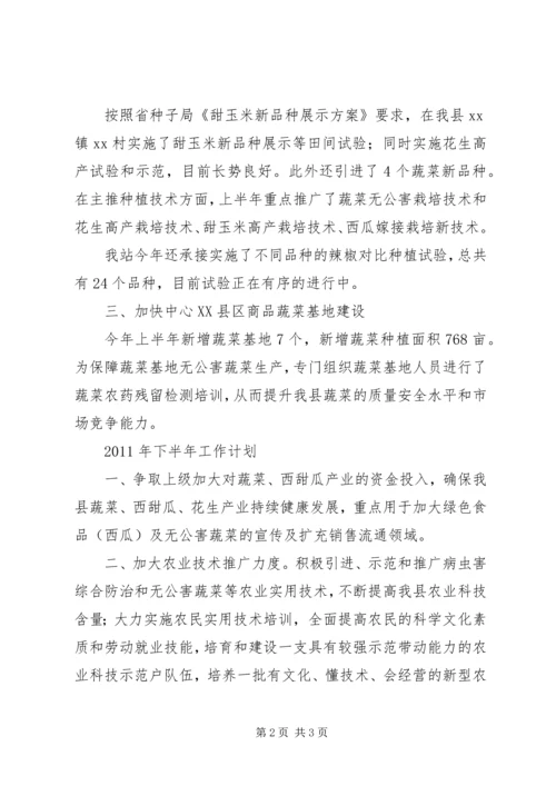 经作站上半年工作总结及下半年工作计划.docx