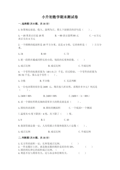 小升初数学期末测试卷精品【有一套】.docx