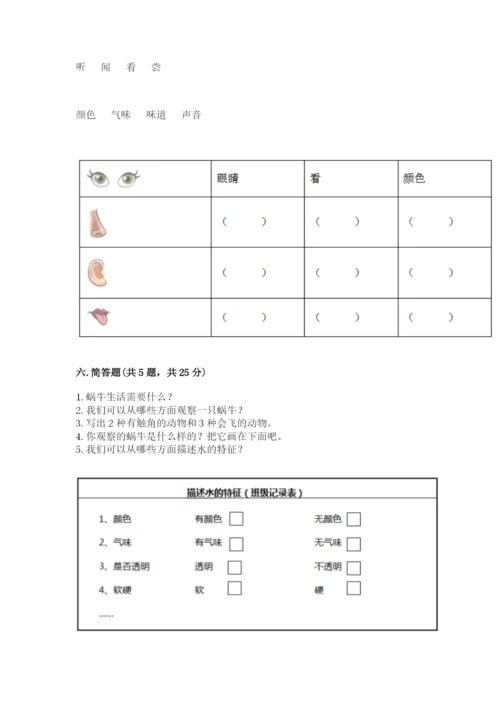 教科版一年级下册科学期末测试卷附参考答案（考试直接用）.docx