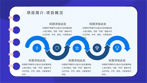 PACA项目实施报告通用PPT模板