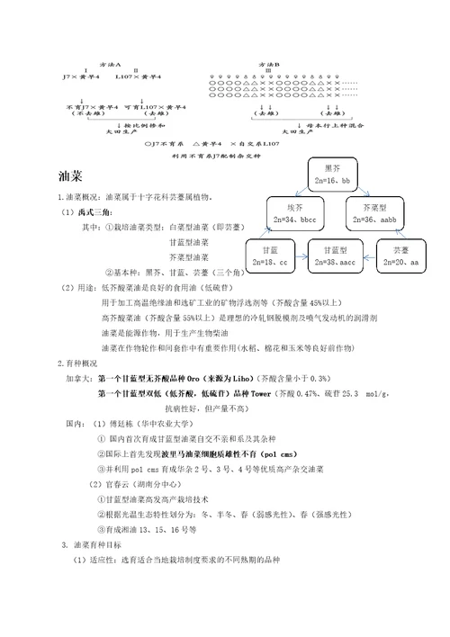 作物育种学各论复习精华共12页