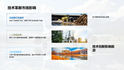 旅游市场年度透视