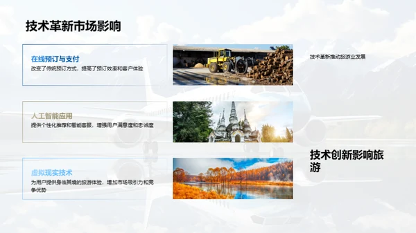 旅游市场年度透视