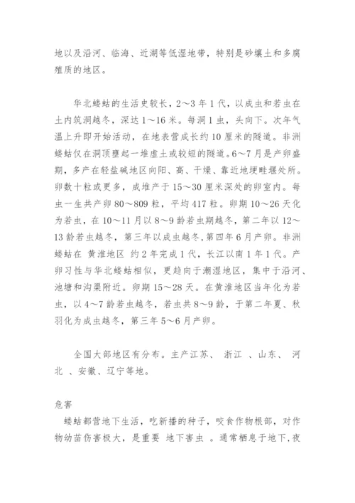 蝼蛄.docx