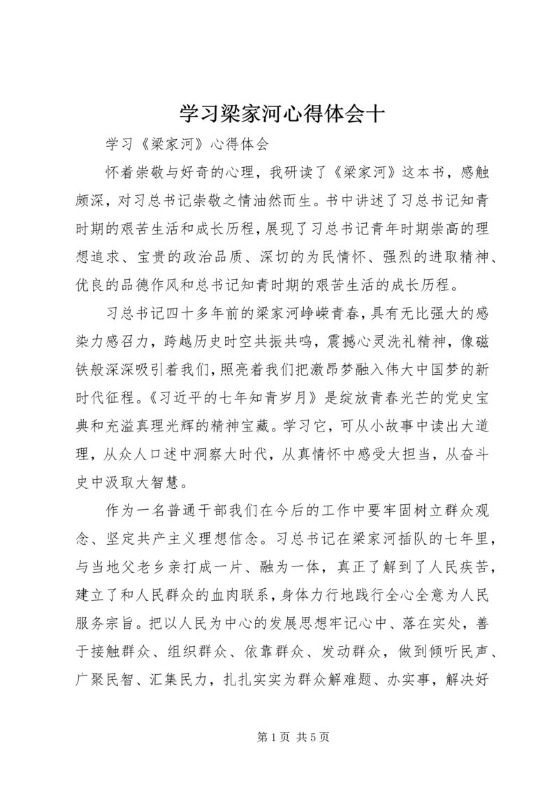 学习梁家河心得体会十 (2).docx