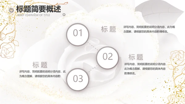 公司企业品牌化妆品介绍宣传PPT