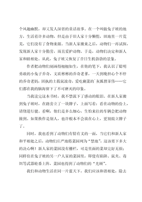 兔子坡读书心得