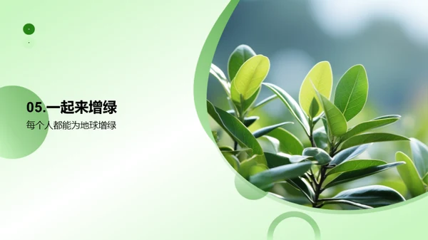 揭秘绿色之源