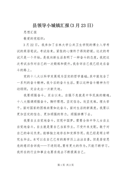 县领导小城镇汇报(3月23日) (3).docx