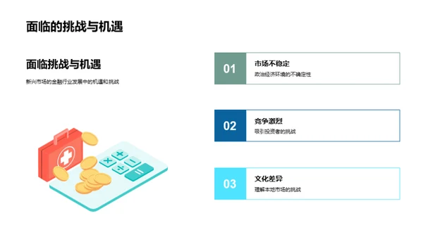 新兴市场：金融营销与投资策略