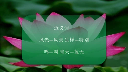 二下《古诗二》第一课时