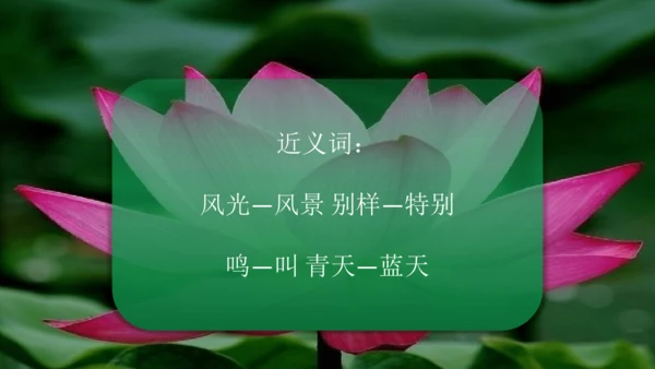 二下《古诗二》第一课时
