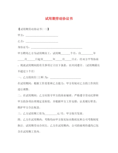 2023年试用期劳动协议书2.docx