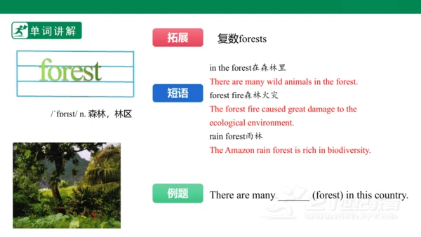 Unit5 Fantastic friends 单词讲解第二课时 课件 新外研（2024）版七年级上