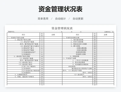 资金管理状况表