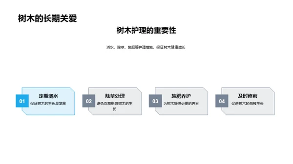 树木与环保