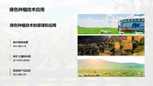 绿色未来：种植革命