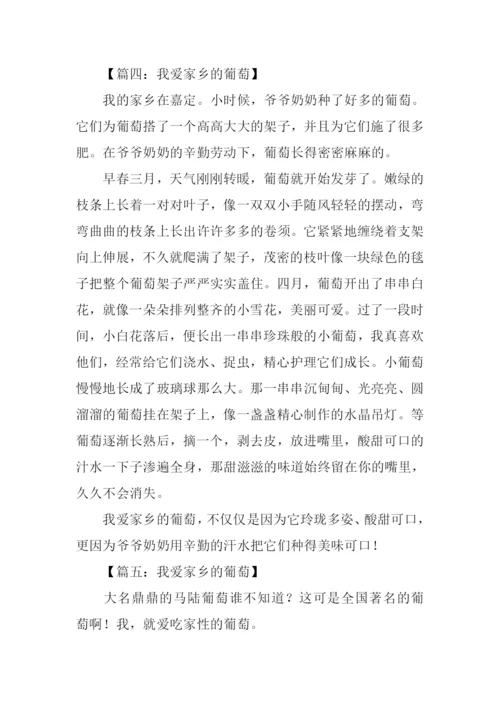 我爱家乡的葡萄作文.docx