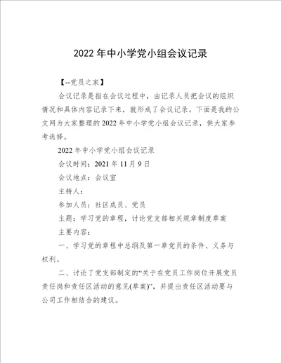 2022年中小学党小组会议记录