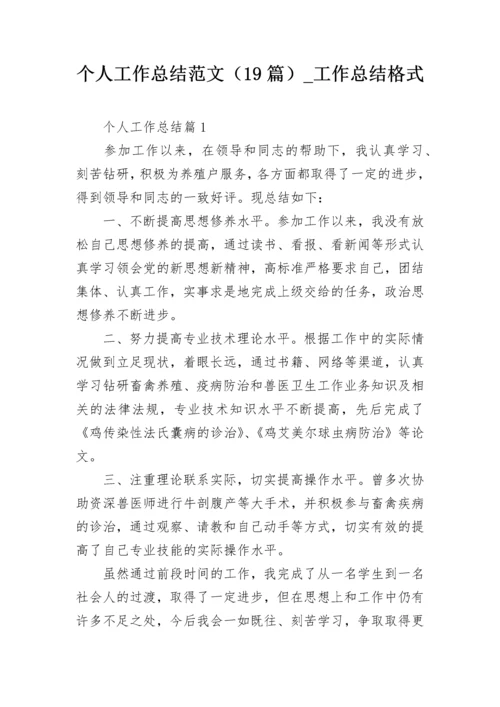个人工作总结范文（19篇）_工作总结格式.docx