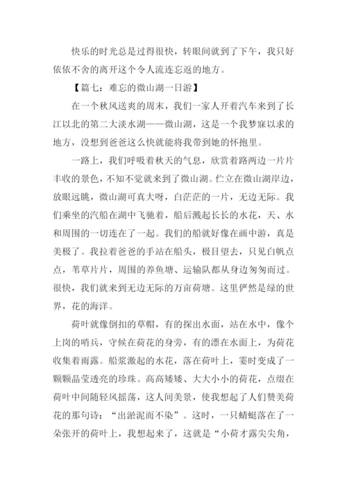 微山湖游记作文.docx
