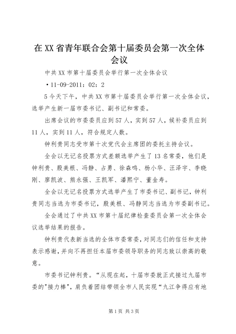 在XX省青年联合会第十届委员会第一次全体会议 (2).docx