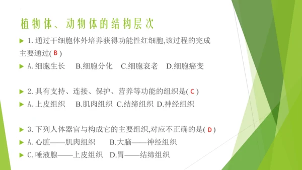 人教版生物七年级上册期中复习课件(共19张PPT)