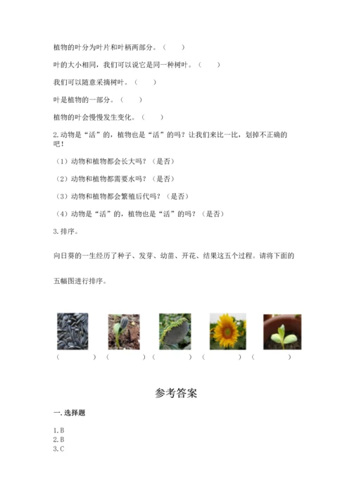 教科版科学一年级上册第一单元《植物》测试卷及完整答案（夺冠系列）.docx