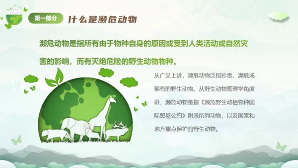 保护濒危动物，拯救美好生命通用PPT模板