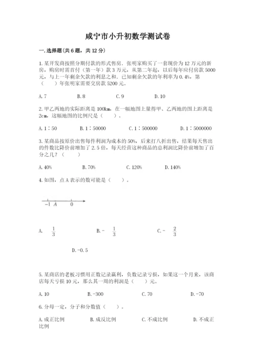 咸宁市小升初数学测试卷新版.docx