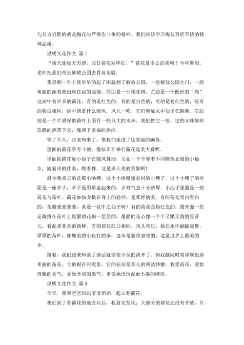 关于说明文花作文锦集8篇.docx