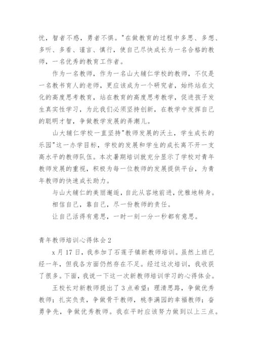 青年教师培训心得体会.docx