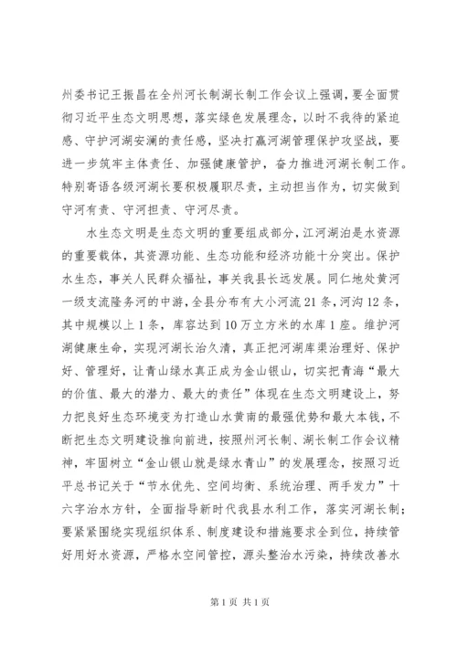 在全县河长制湖长制工作会议上的讲话.docx