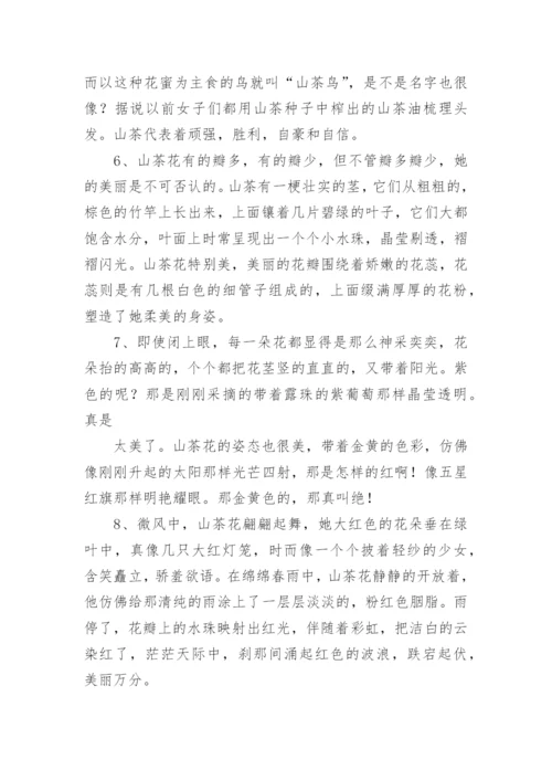 描写茶花的好词好句好段.docx