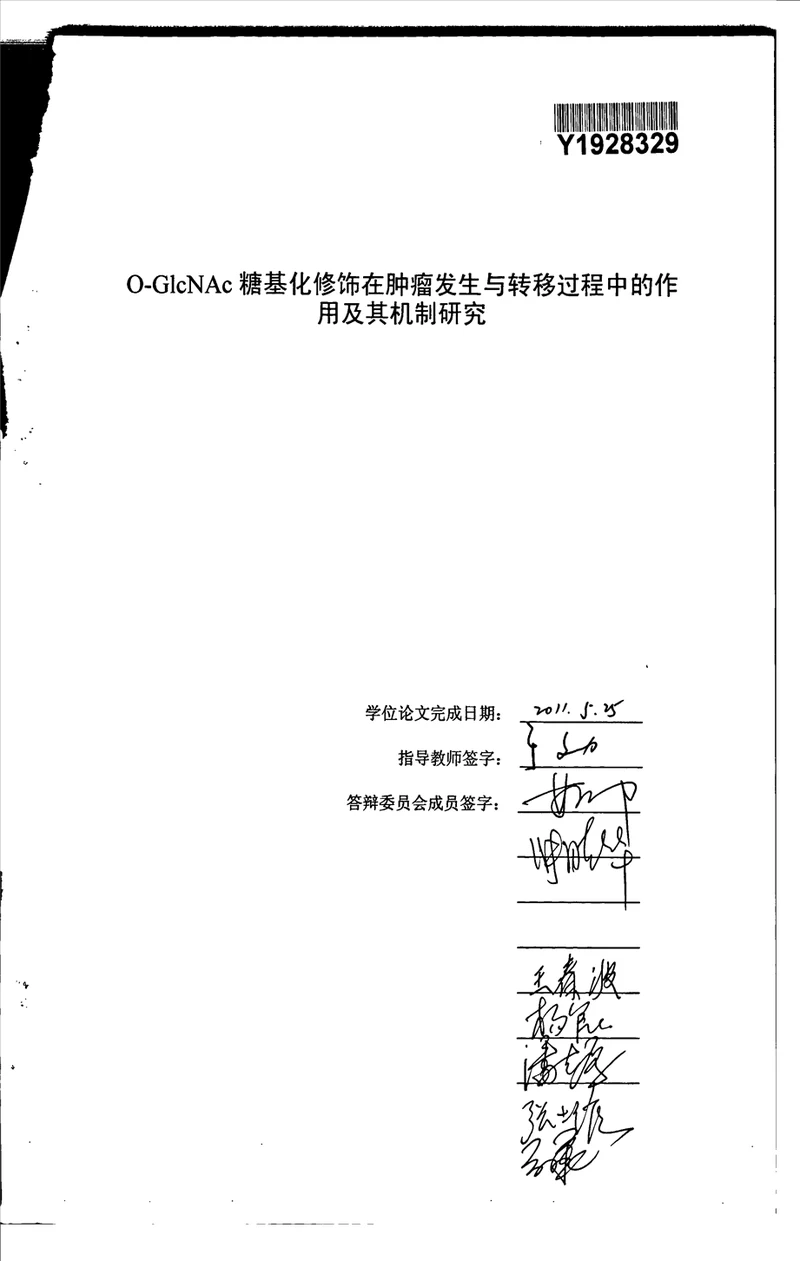ac糖基化修饰在肿瘤发生与转移过程中的作用及其机制研究