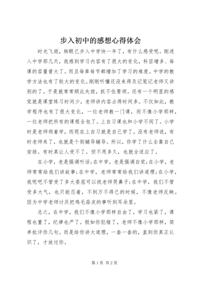 步入初中的感想心得体会 (2).docx