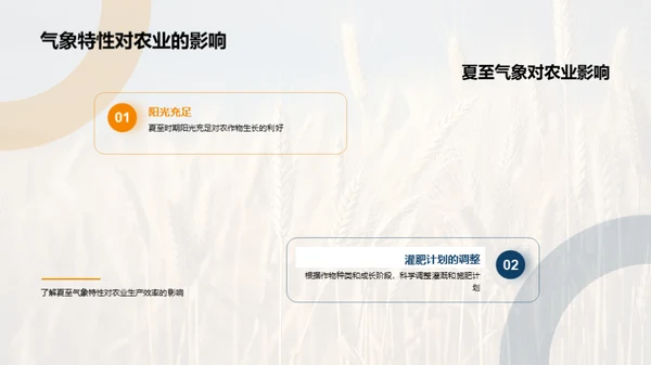 夏至气象与农业策略
