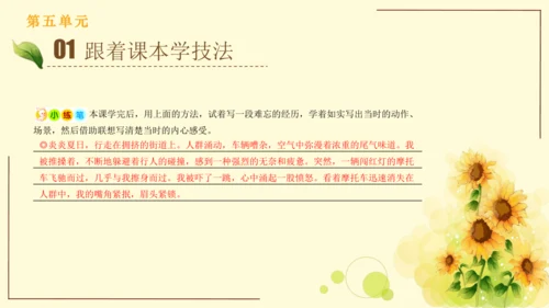 统编版语文四年级上册2024-2025学年度第五单元习作： 生活万花筒（课件）