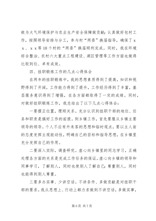 乡镇干部个人挂职锻炼工作总结.docx