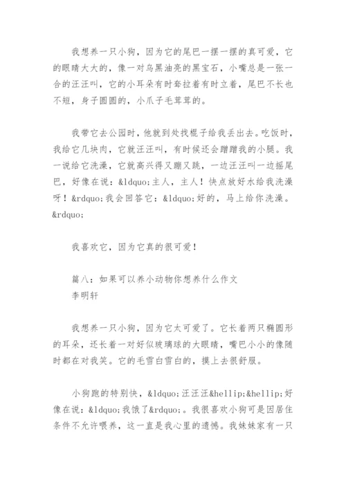 如果可以养小动物你想养什么作文(精选8篇).docx